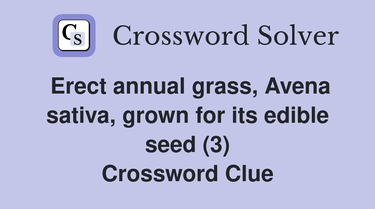 Erect annual grass, Avena sativa, grown for its edible seed (3
